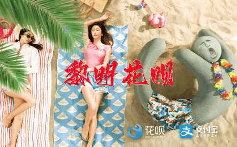 不告而别花呗